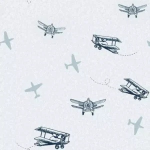 Papel de Parede Avião Azul