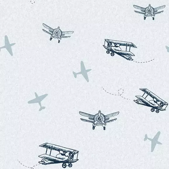 Papel de Parede Avião Azul